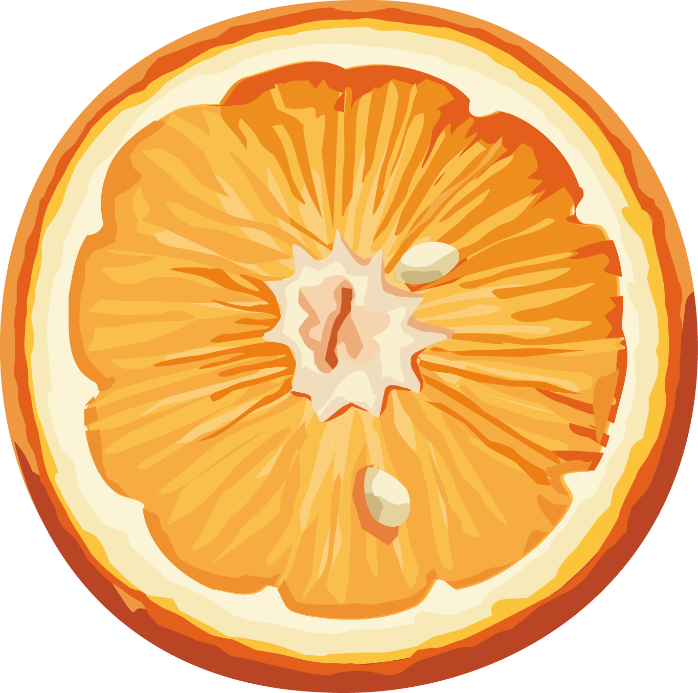 Orange Png Image Download PNG Image