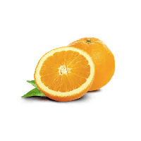 Download Orange Free PNG photo images and clipart | FreePNGImg