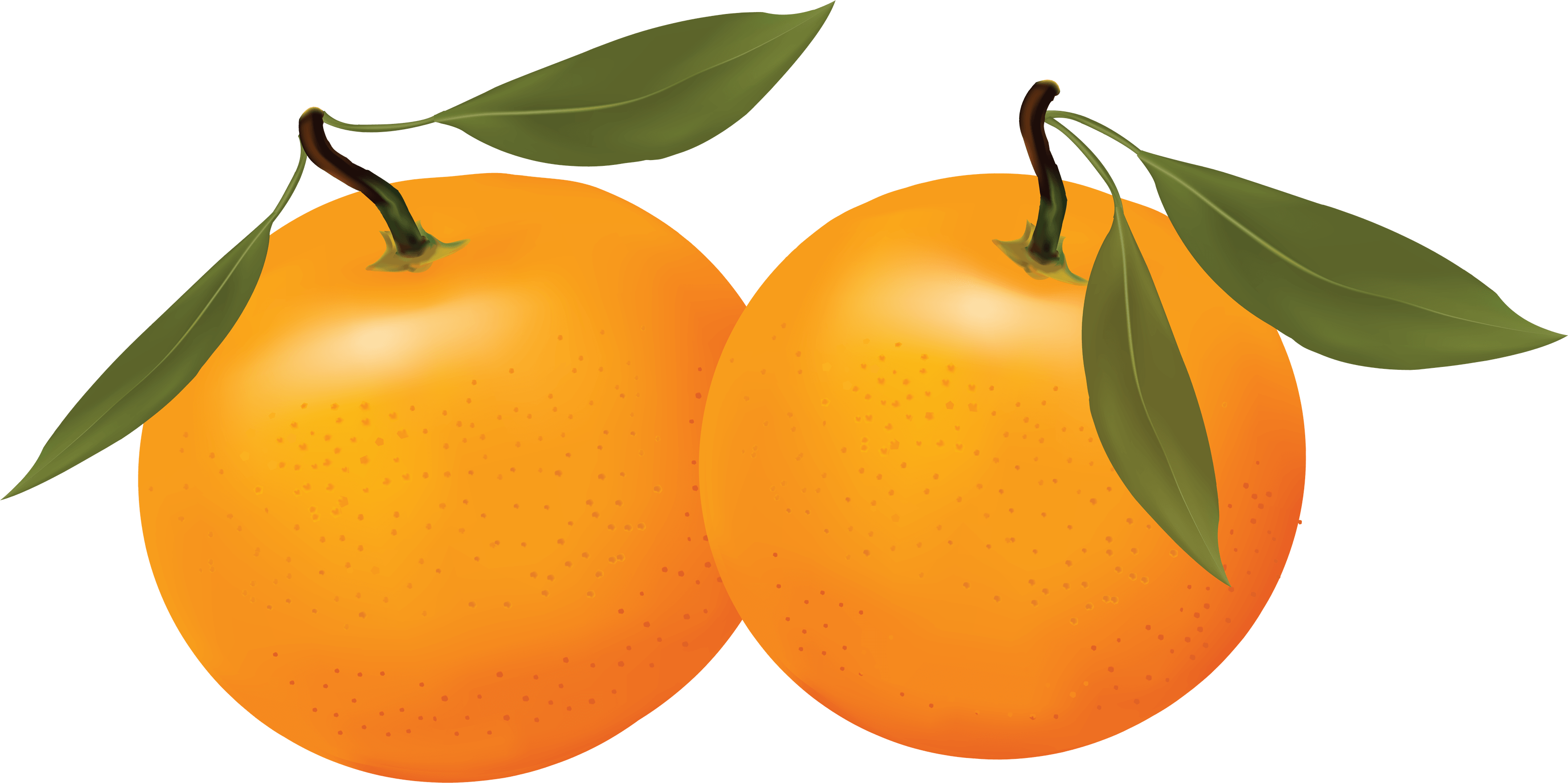 Orange Png Image Download PNG Image