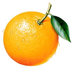 Orange Png Image Download PNG Image