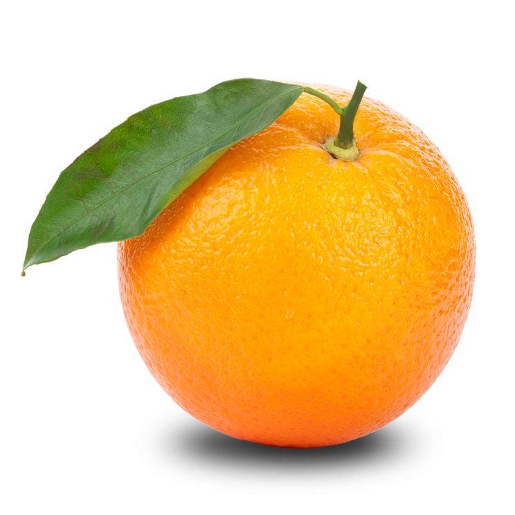 Orange Png Clipart PNG Image