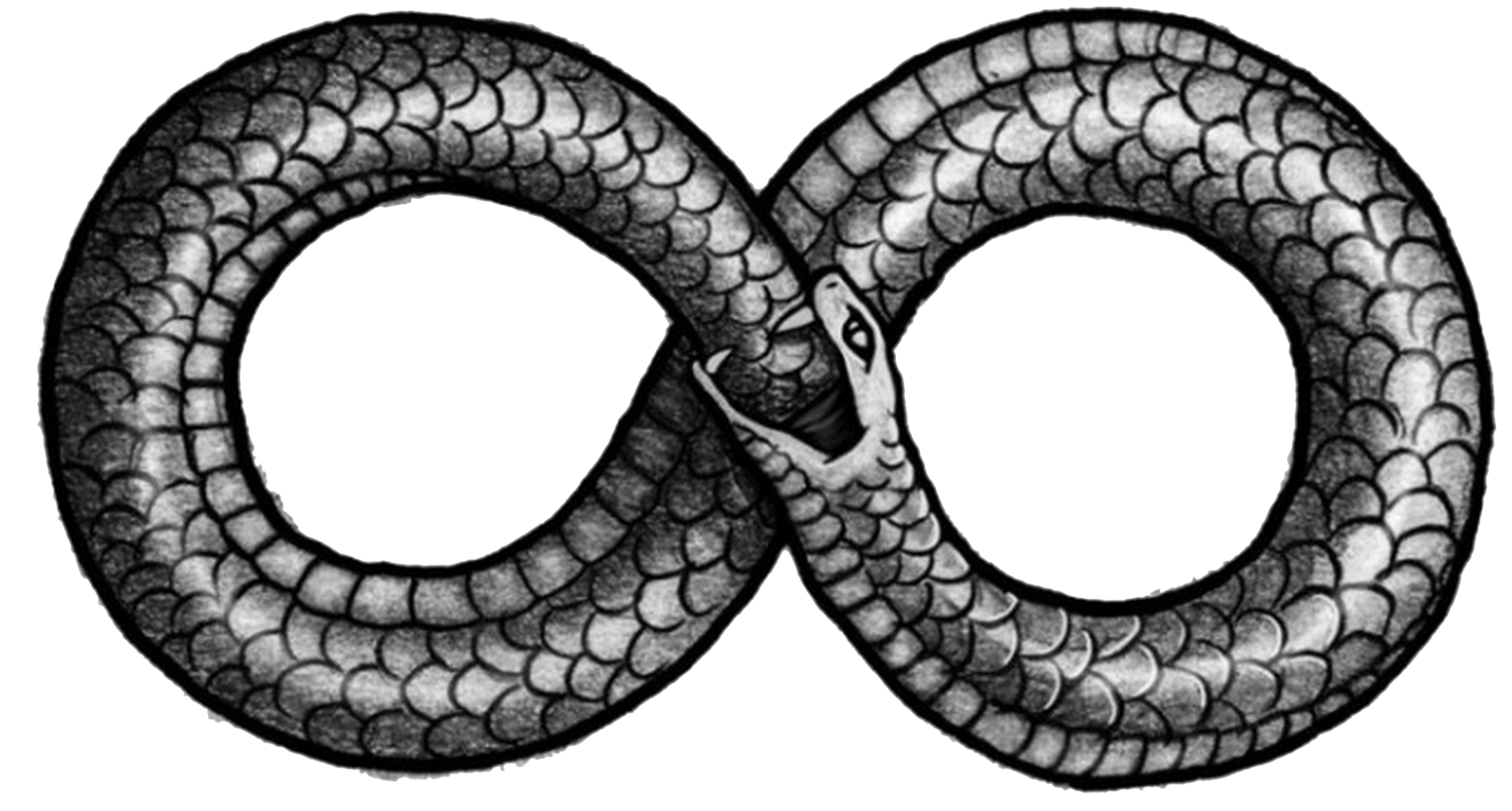Ouroboros Png Picture PNG Image