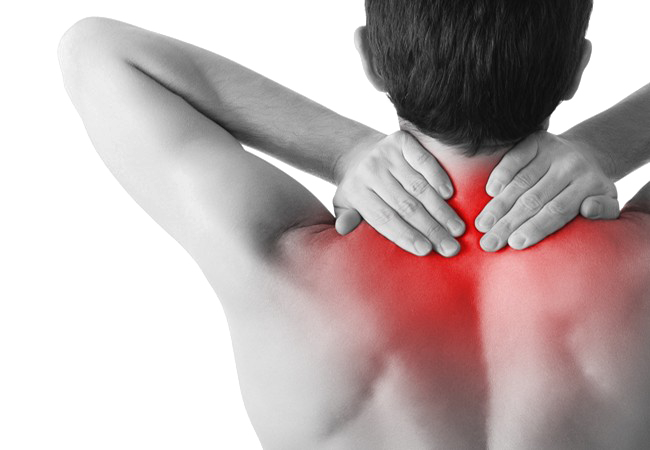 Pain In The Neck HD PNG Image