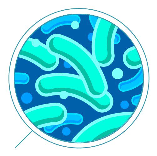 Bacteria Free Photo PNG PNG Image