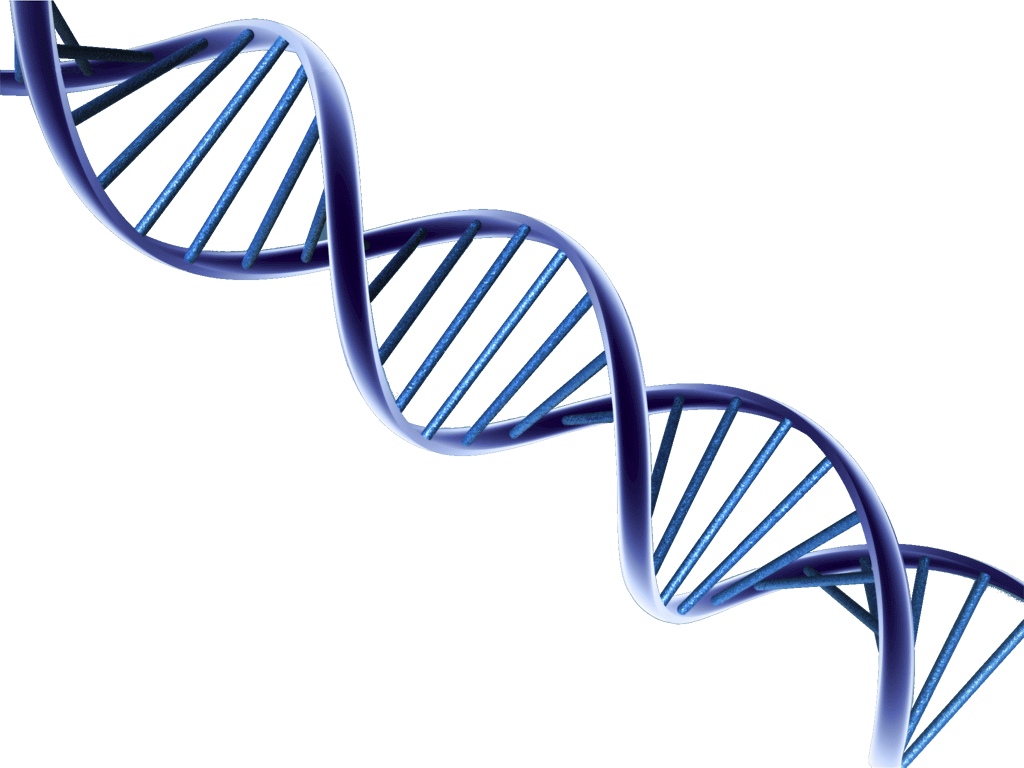 Dna Picture HQ Image Free PNG PNG Image