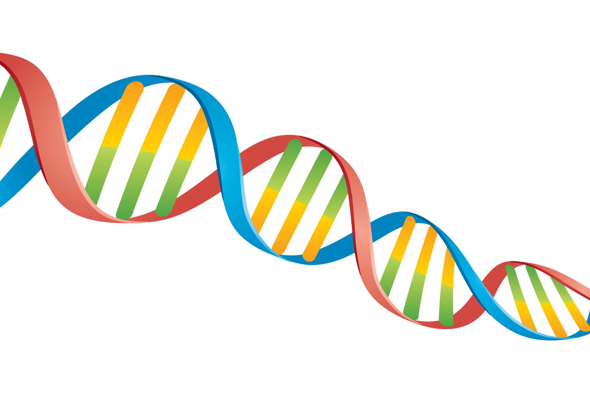 Dna Image PNG Free Photo PNG Image