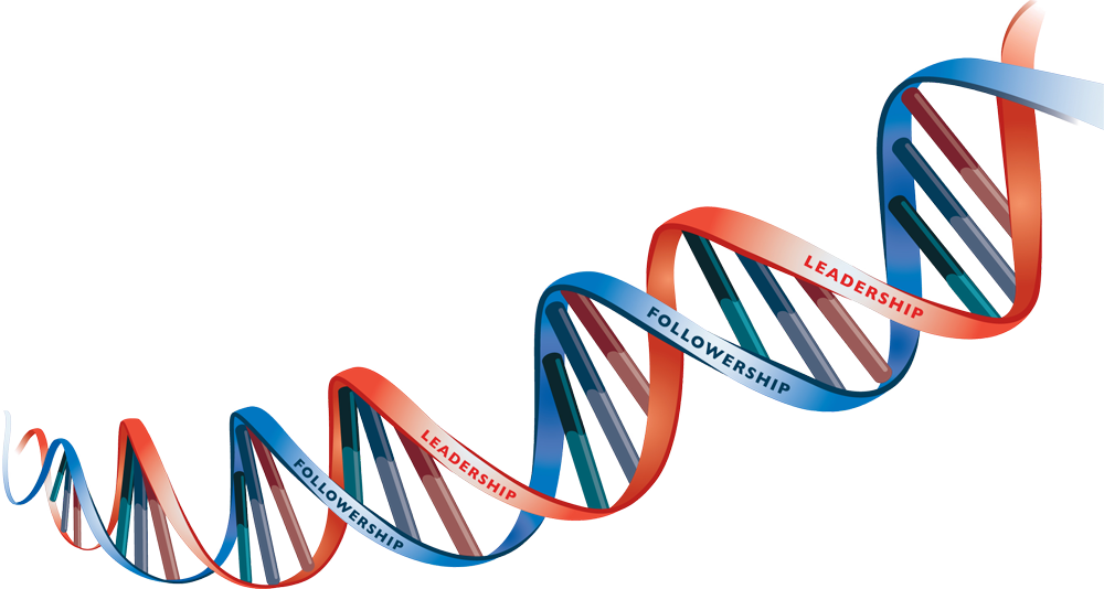 Dna Picture Free Clipart HD PNG Image