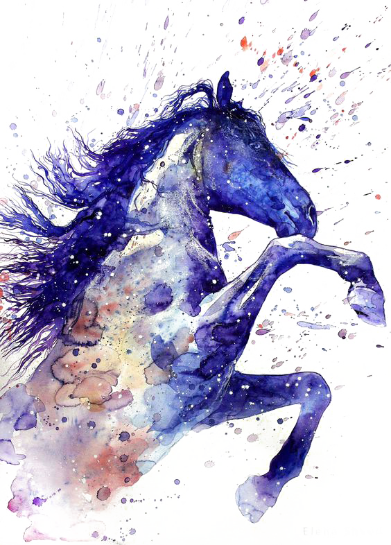 Tattoo Horse Ritmeester Watercolor Painting Drawing PNG Image