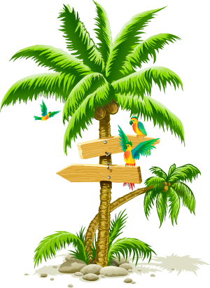 Tropical Palm Tree Png PNG Image