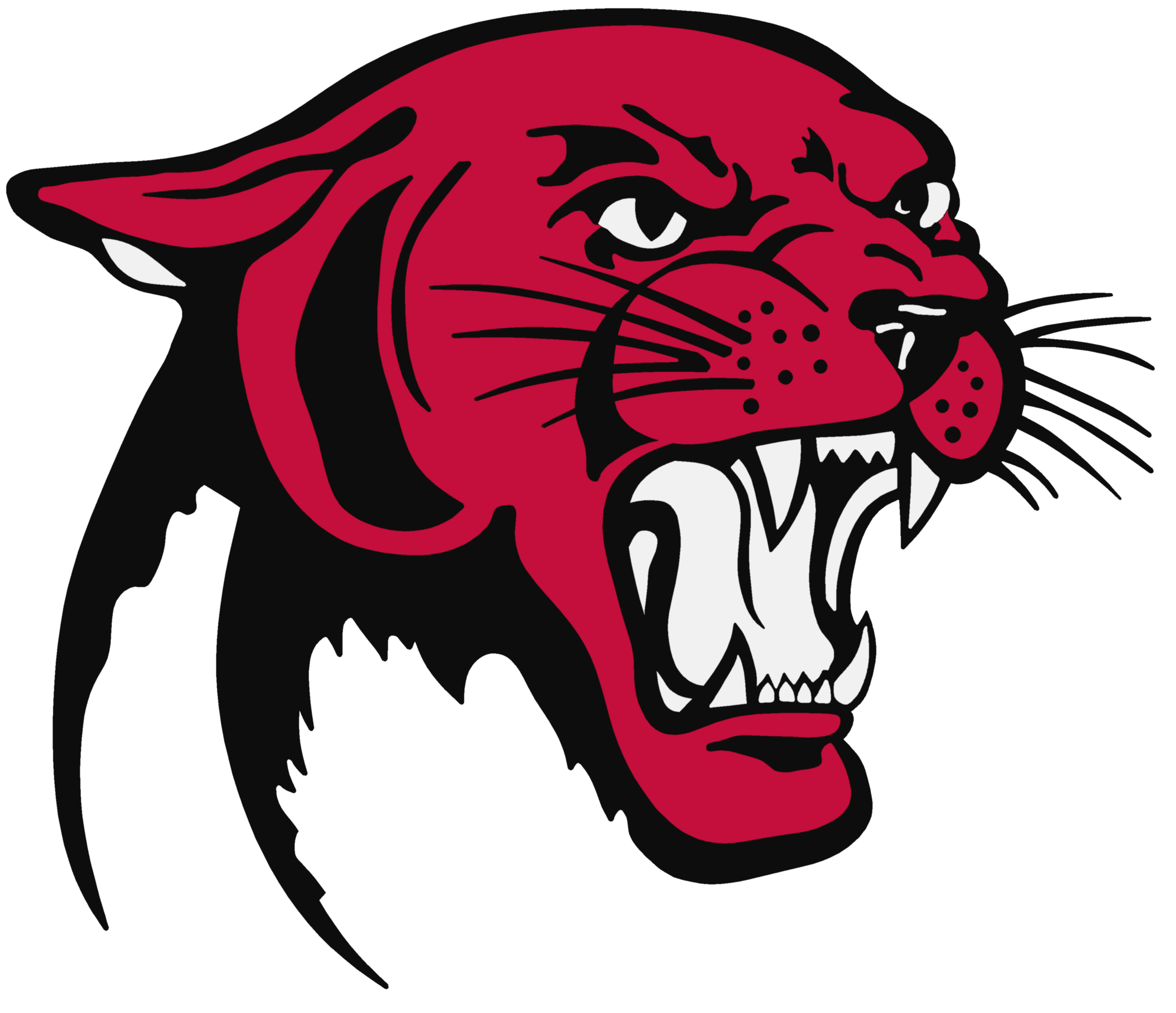 Panther Png Picture PNG Image