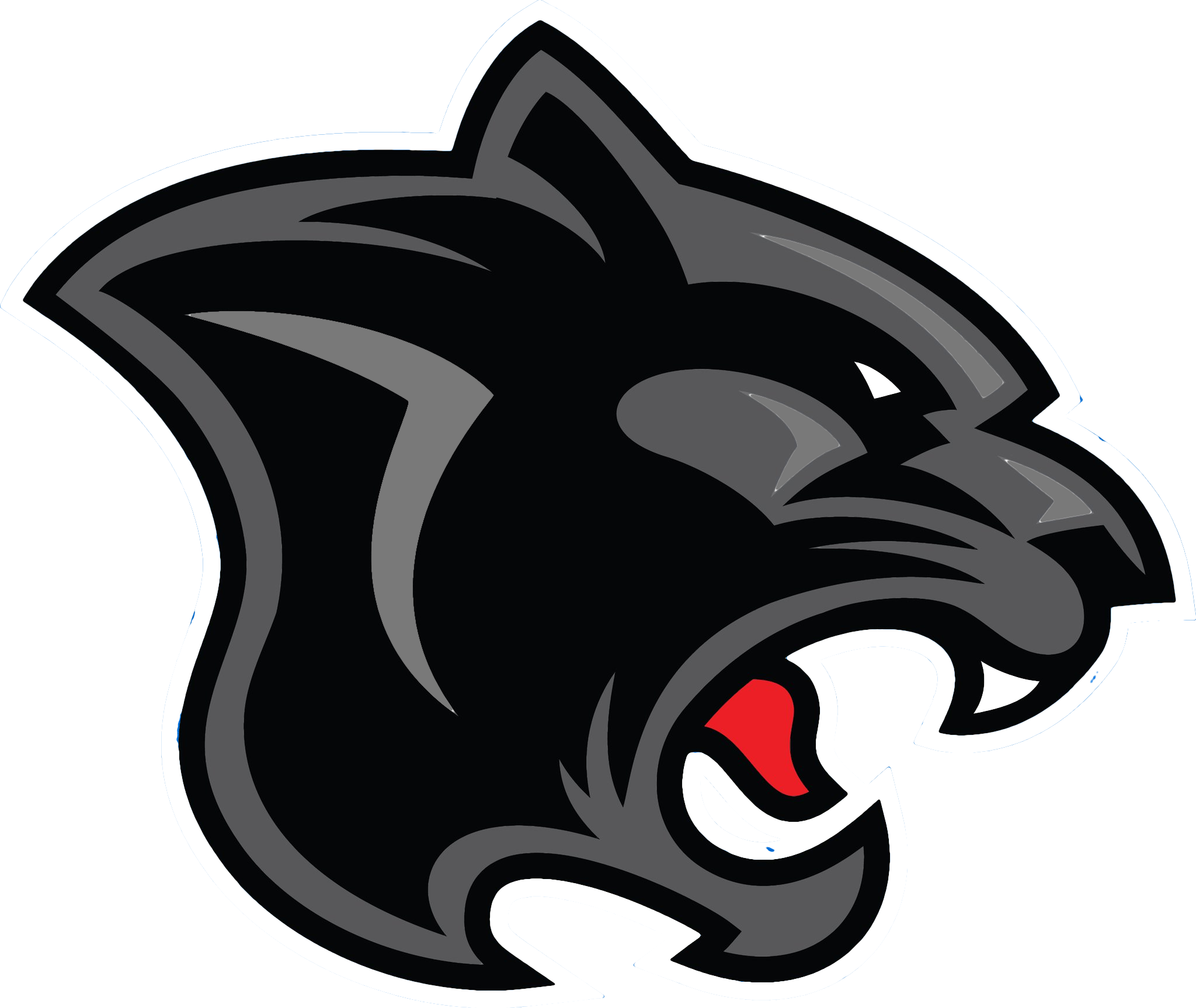 Panther Png File PNG Image