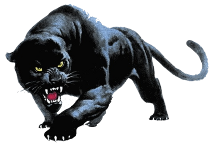 Panther Png PNG Image