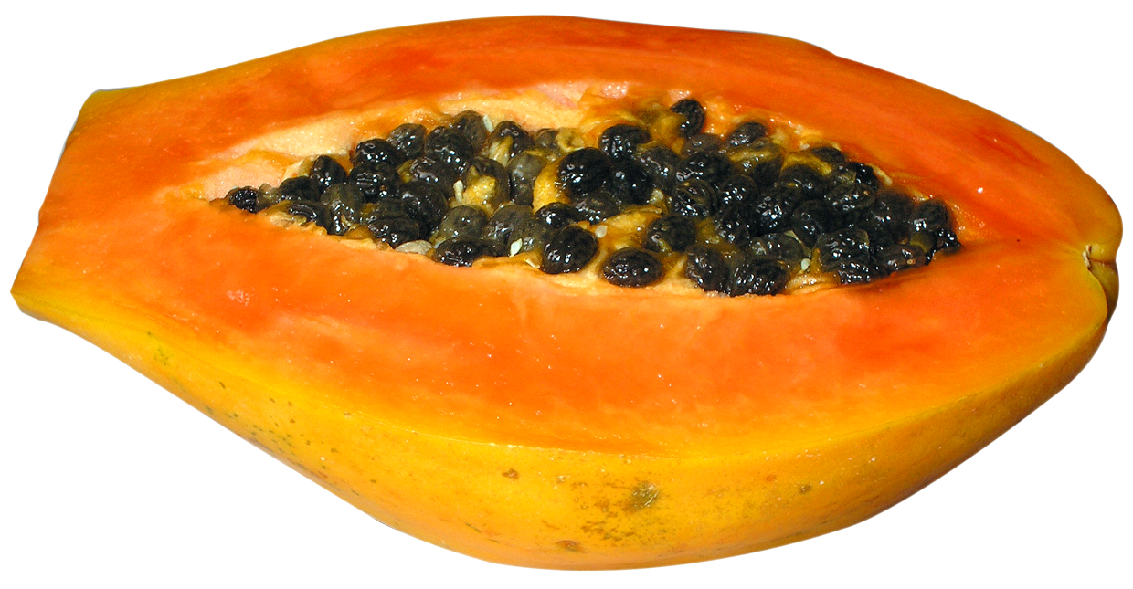 Fresh Papaya Half Free PNG HQ PNG Image