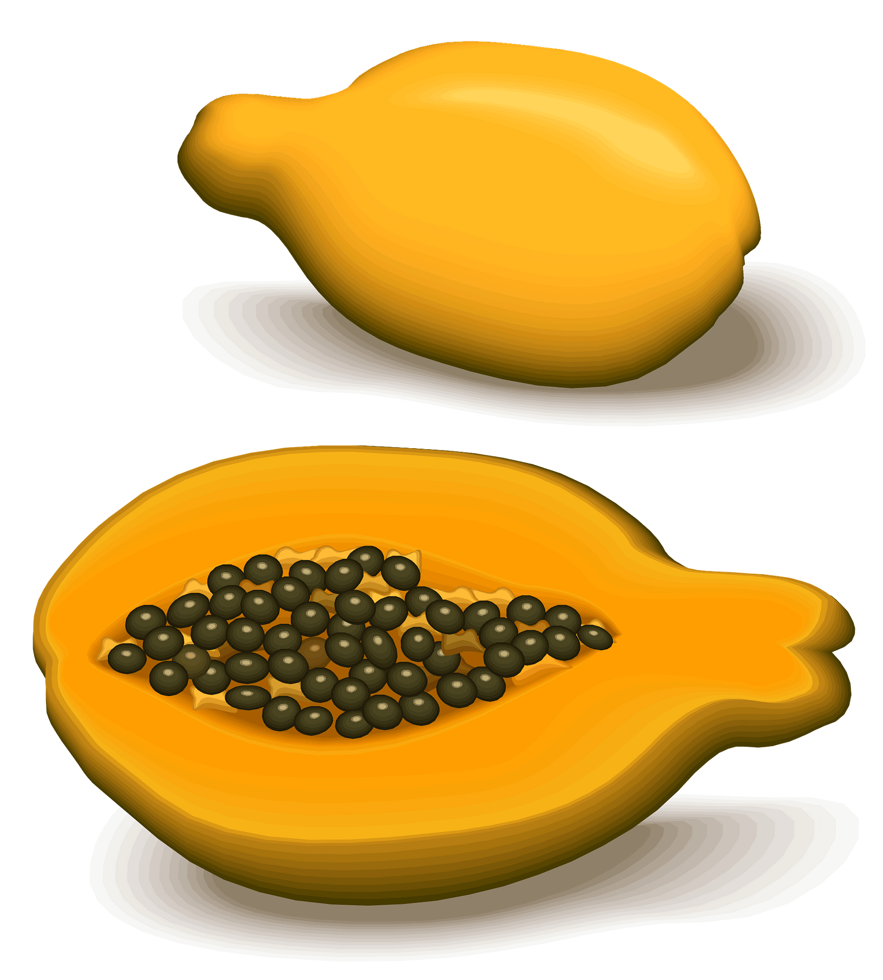 Fresh Papaya Half PNG Download Free PNG Image