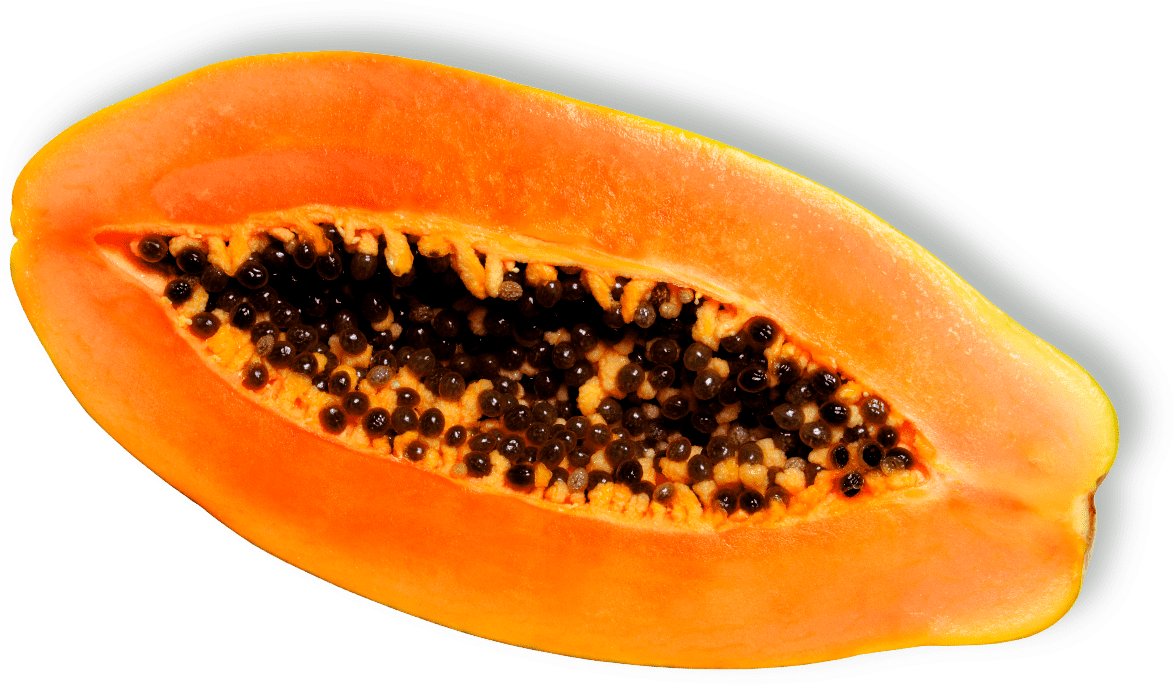 Fresh Papaya Half Free Clipart HQ PNG Image