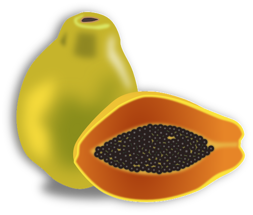 Papaya Pic Green PNG Free Photo PNG Image