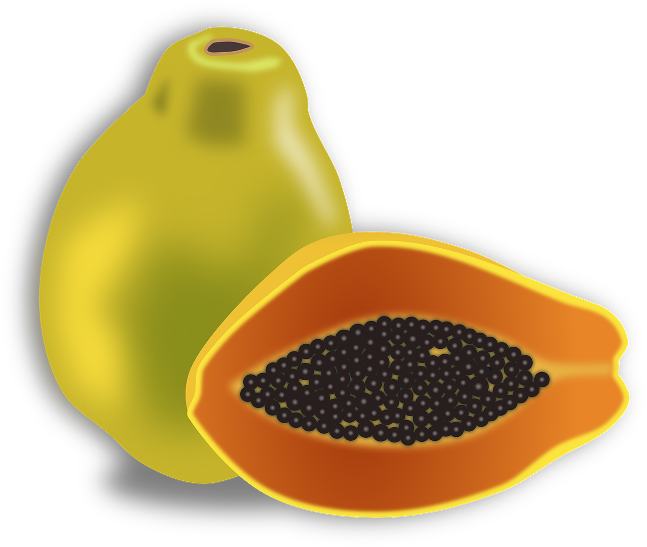 Papaya Organic Half PNG Download Free PNG Image
