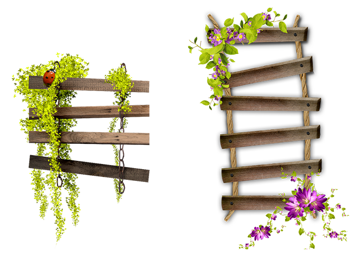 Flower Garden Hour Spooky Frame Bench Ladder PNG Image