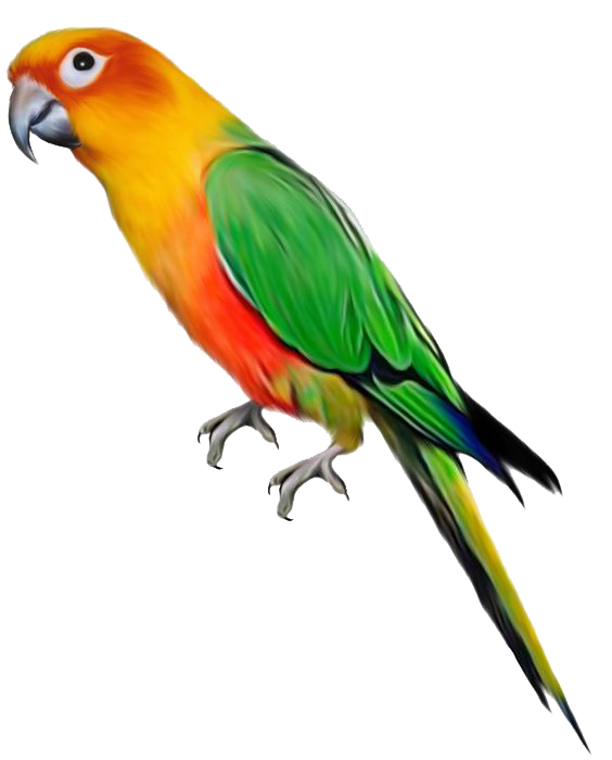 Parrot File PNG Image