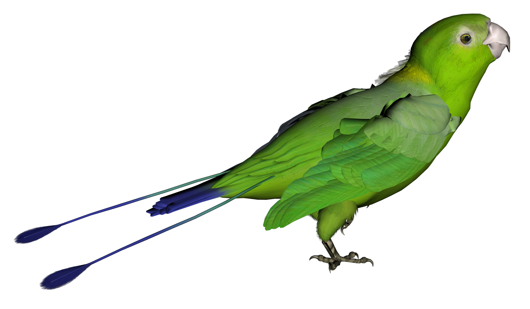 Parrot Png Clipart PNG Image