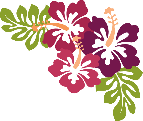 Images Hawaiian Luau HQ Image Free PNG Image