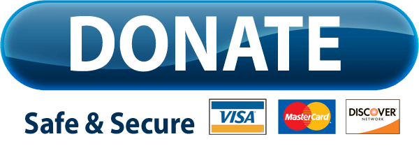 Paypal Donate Button Free Download Png PNG Image