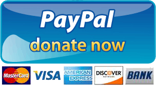 Paypal Donate Button Png Picture PNG Image