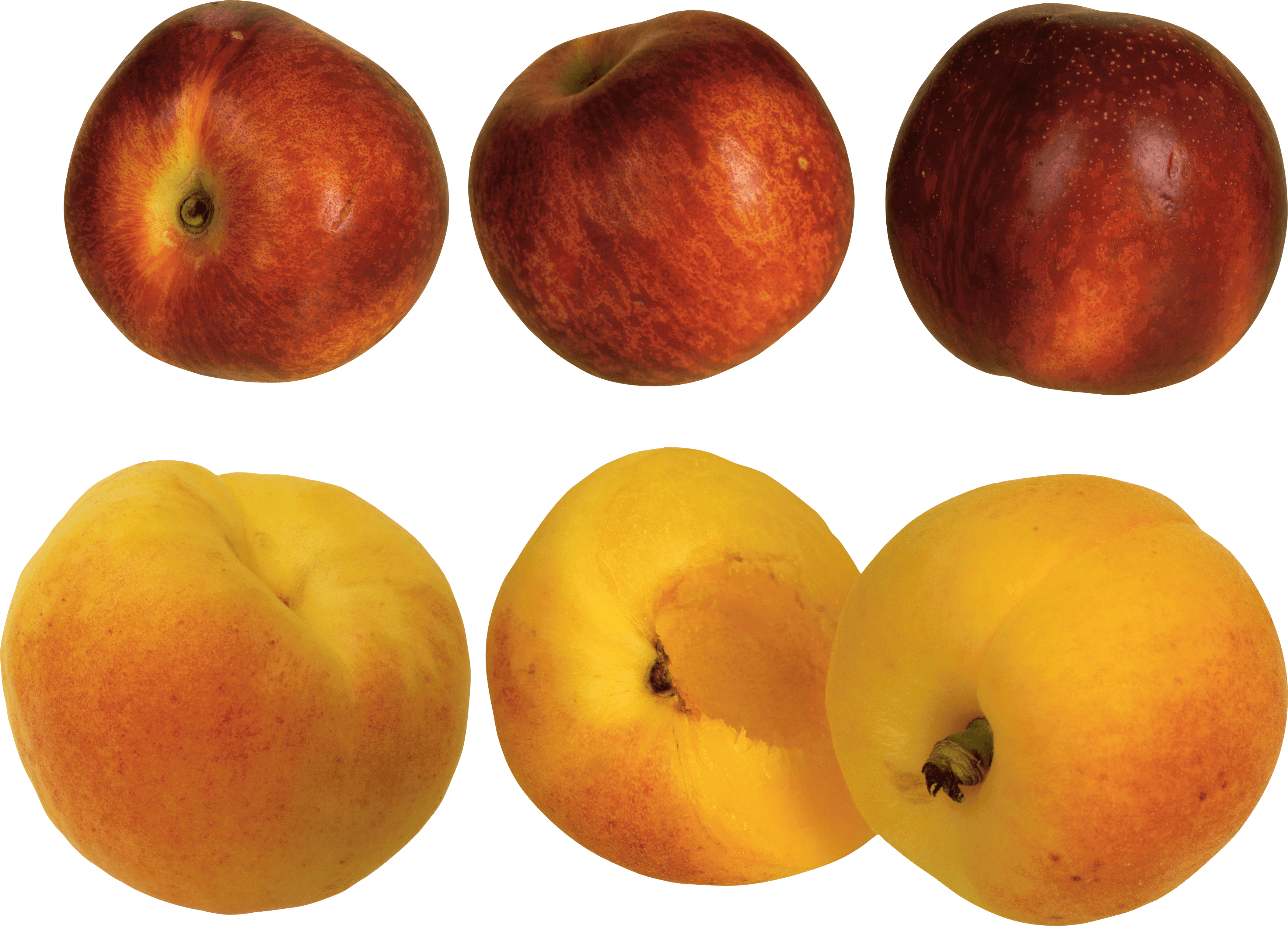 Peach Png Image PNG Image