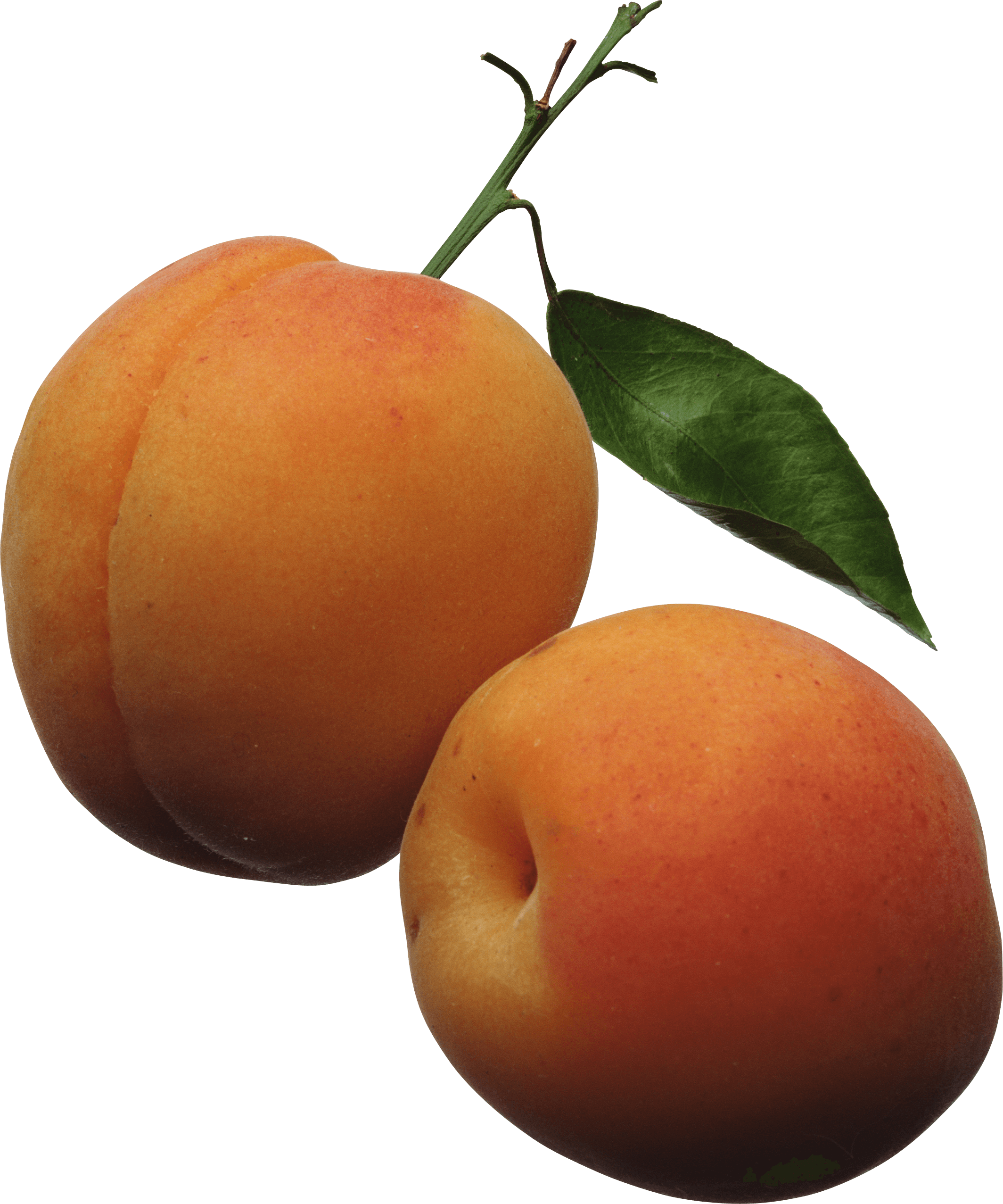 Peach Png Image PNG Image