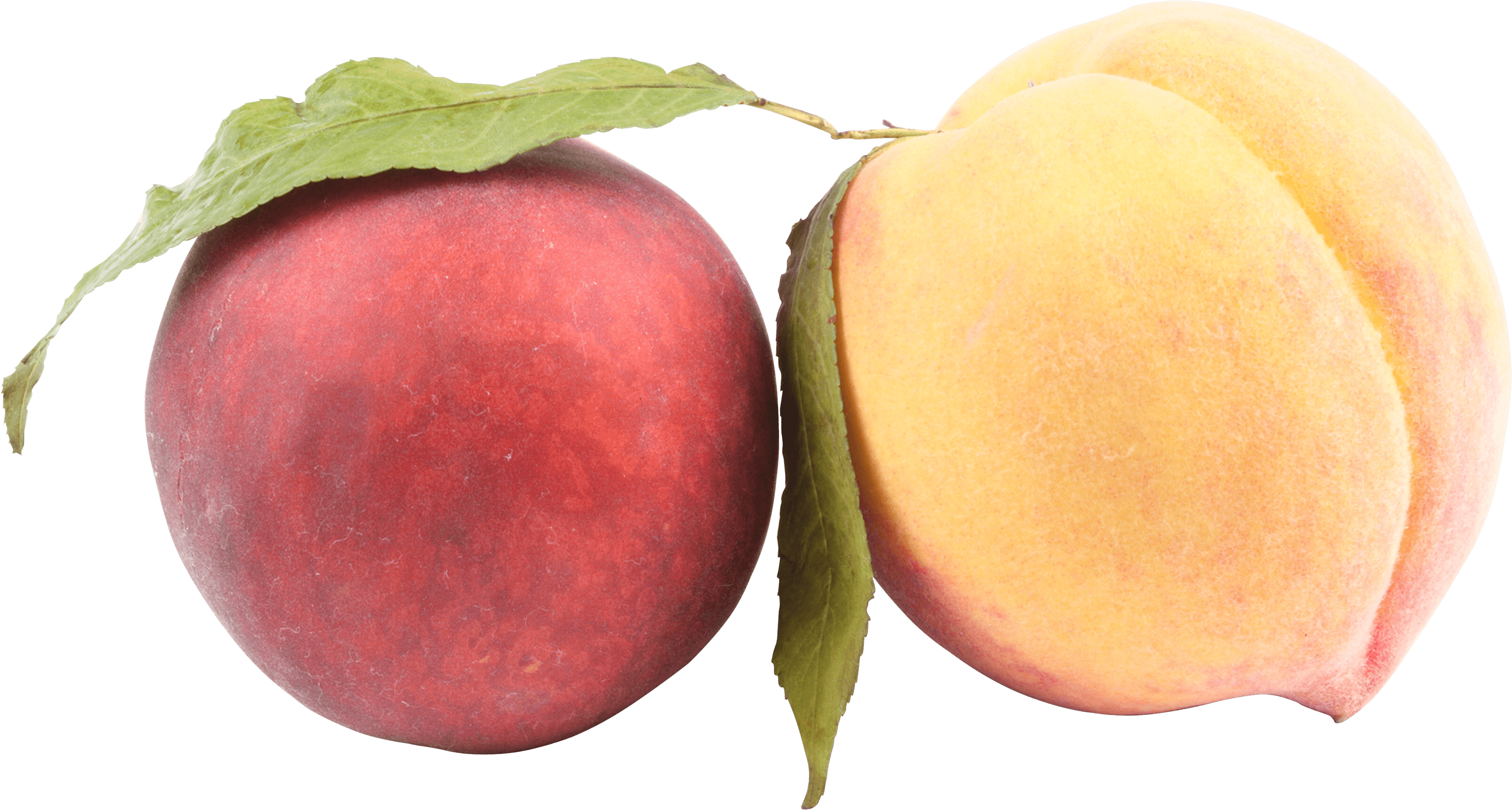 Peach Png Image PNG Image