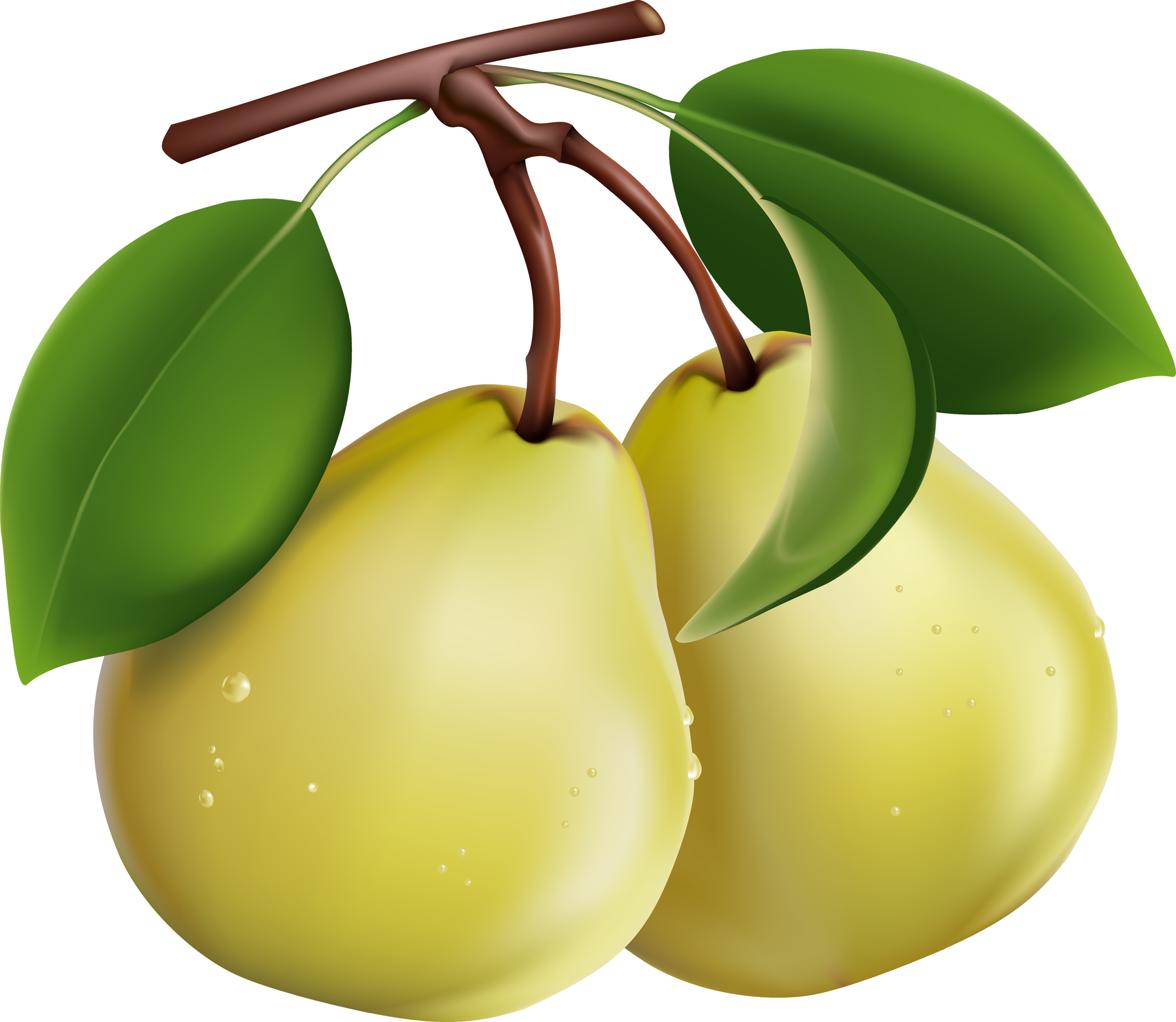 Pear Picture PNG Image