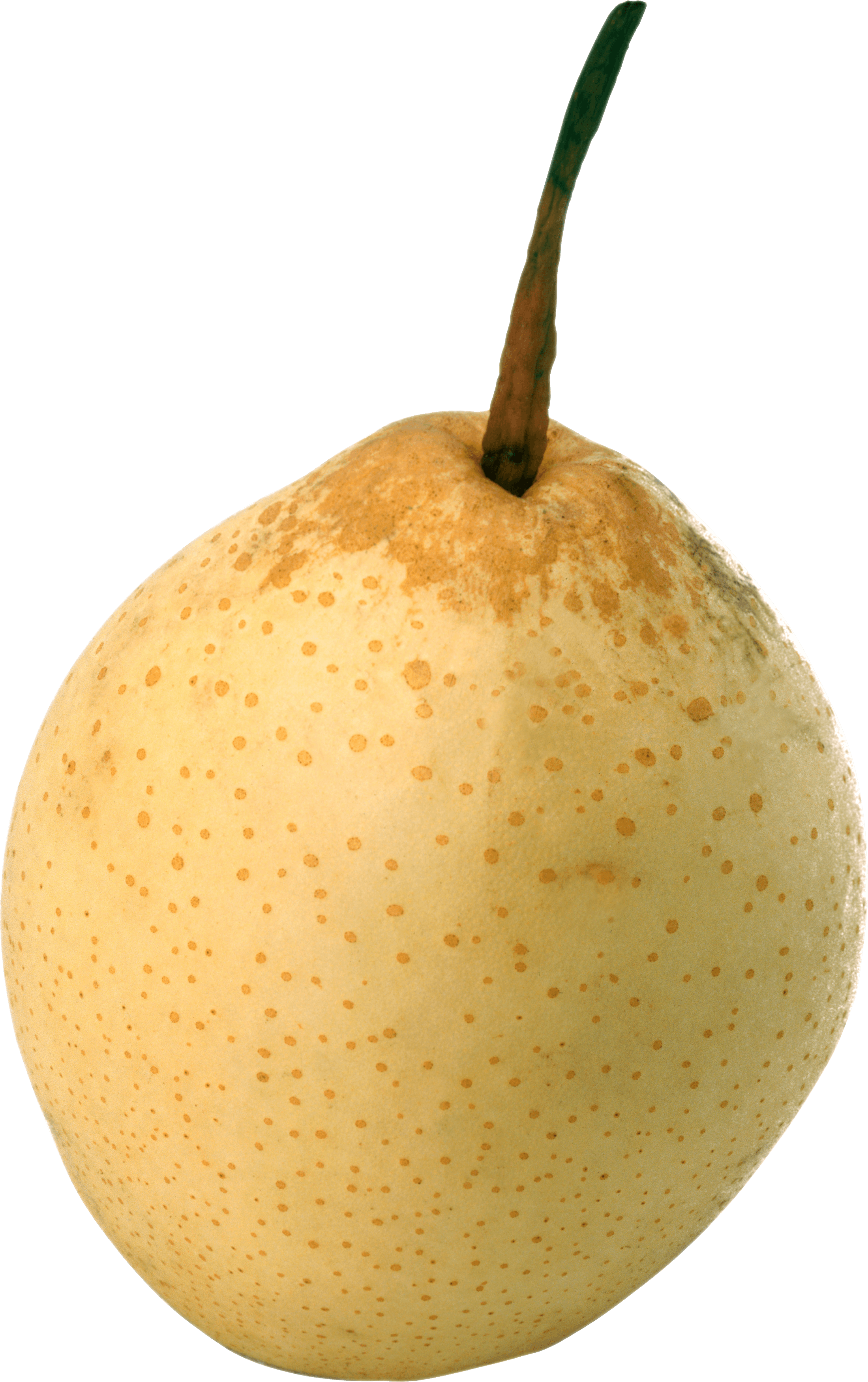 Ripe Pear Png Image PNG Image