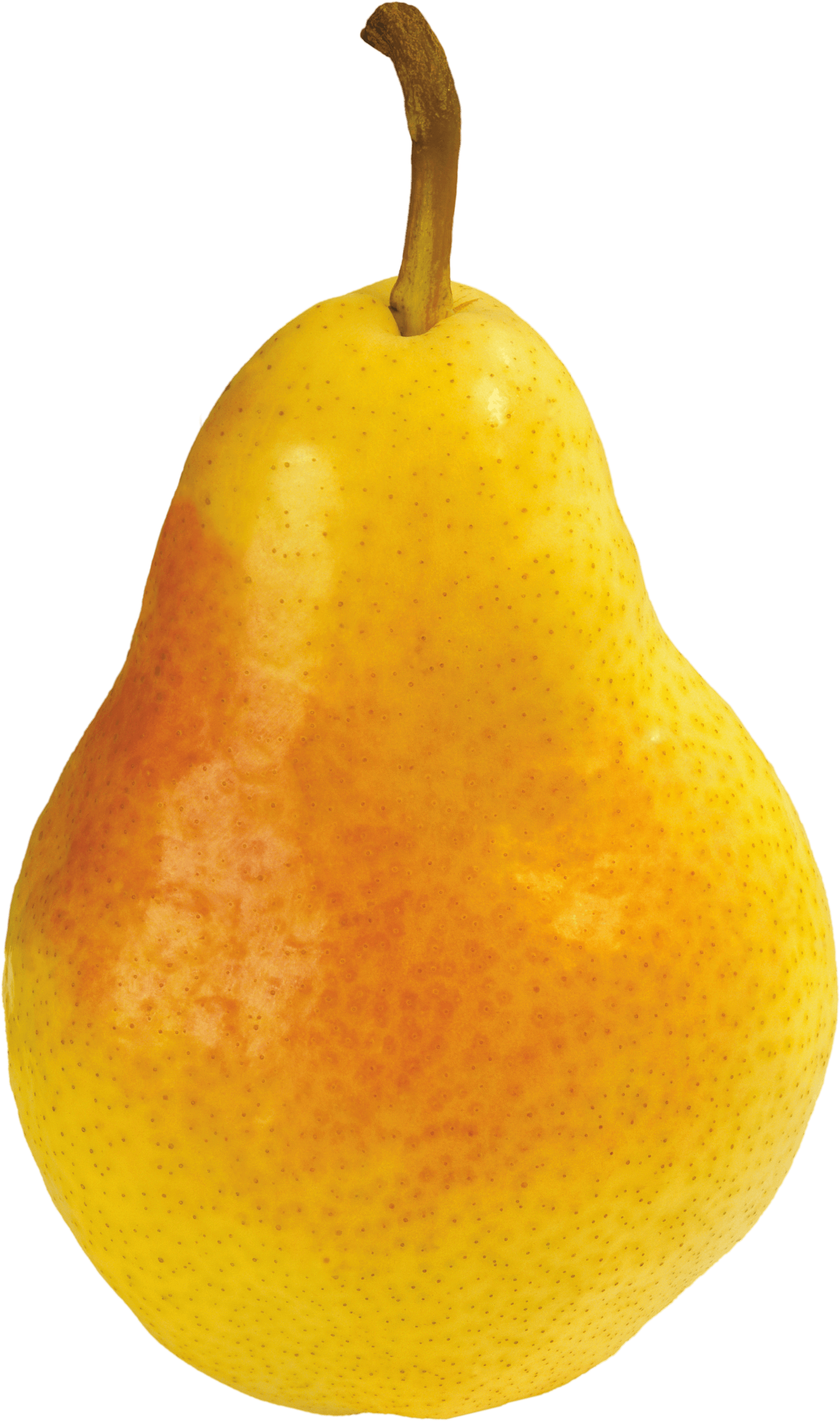 Pear Png Image PNG Image