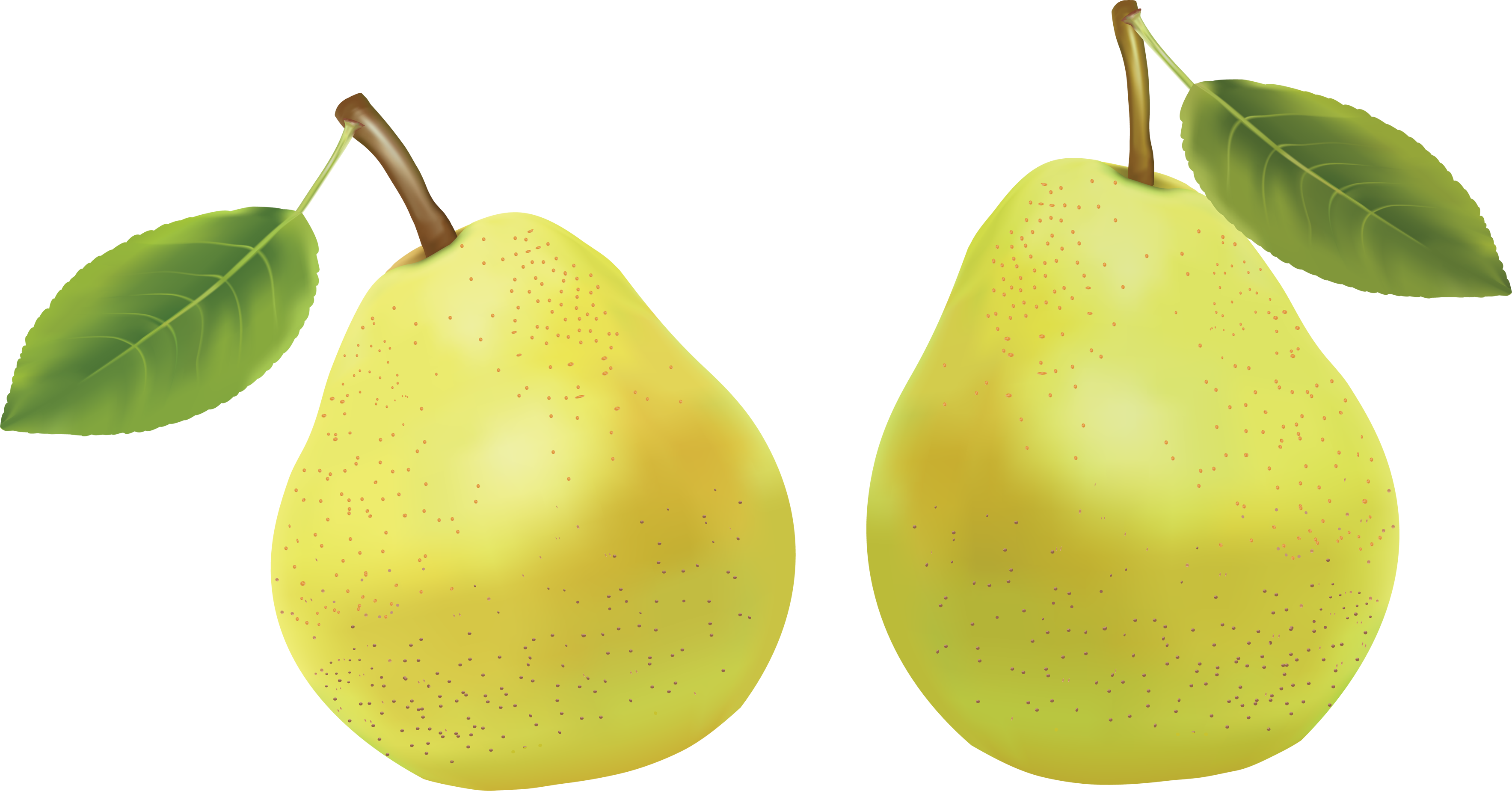 Fresh Green Pears Download HD PNG Image