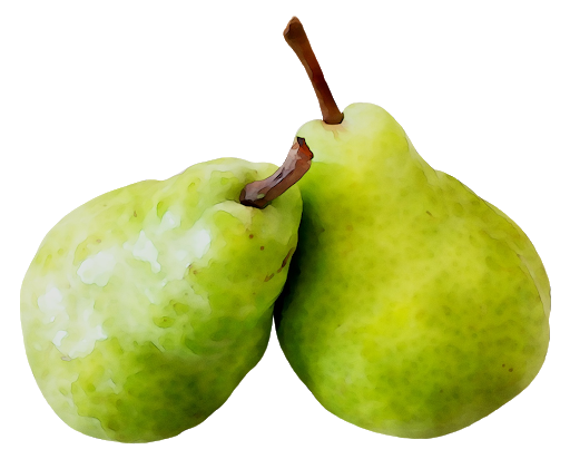 Fresh Green Pears Free PNG HQ PNG Image