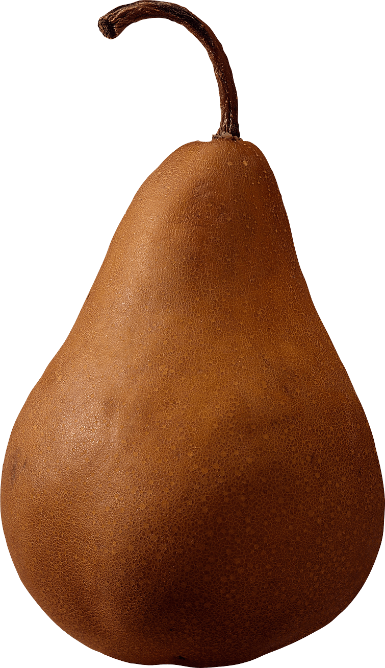 Brown Pear Png Image PNG Image