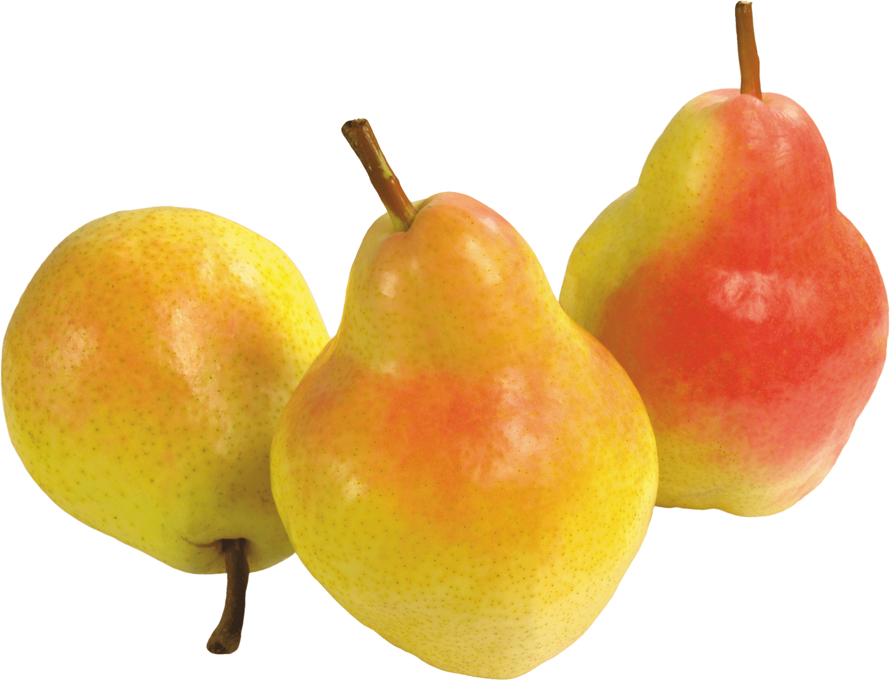 Pear Png Image PNG Image