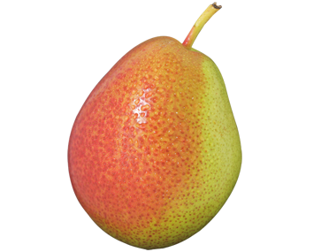 Corella Pear PNG Image