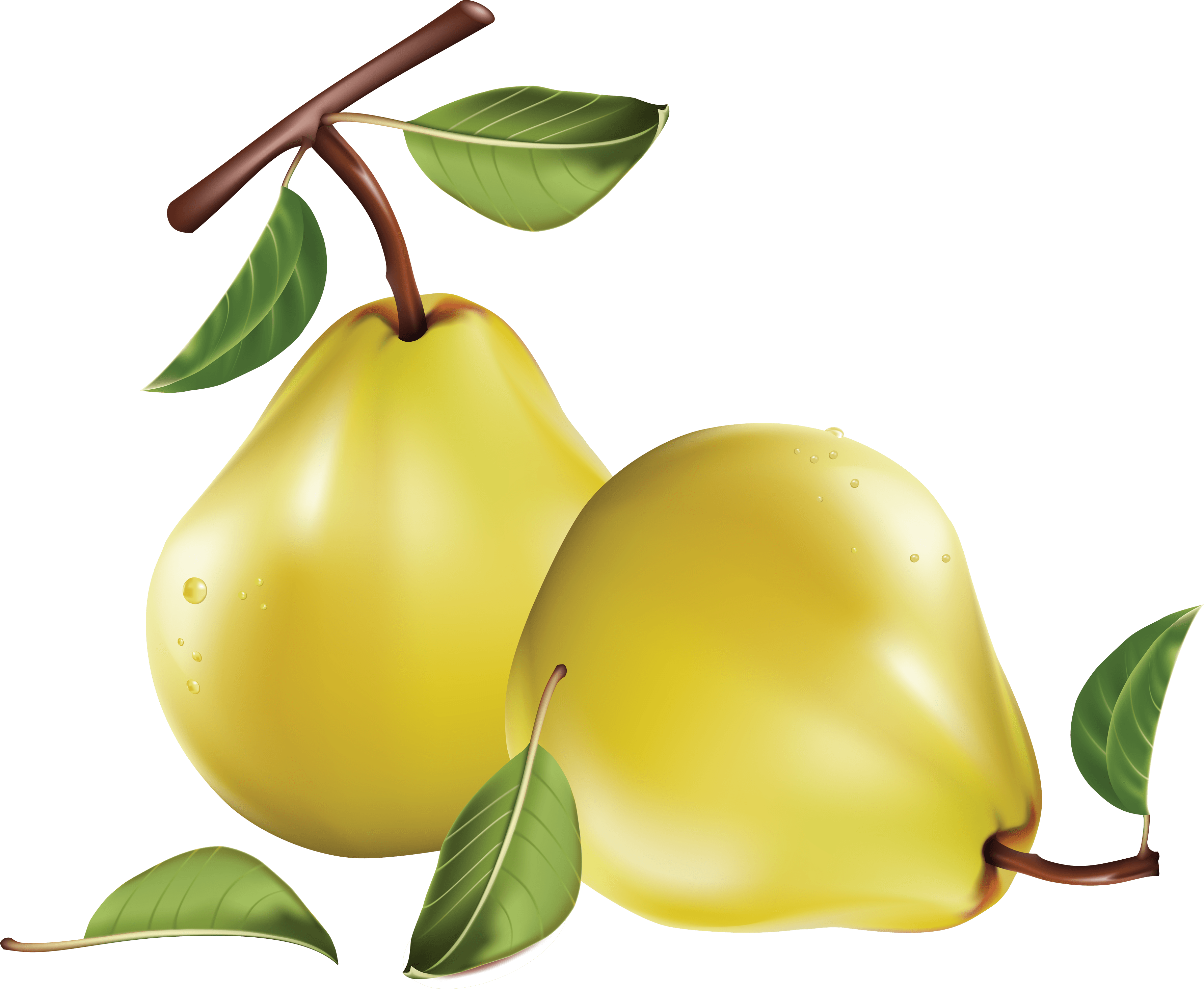 Pear Png Image PNG Image