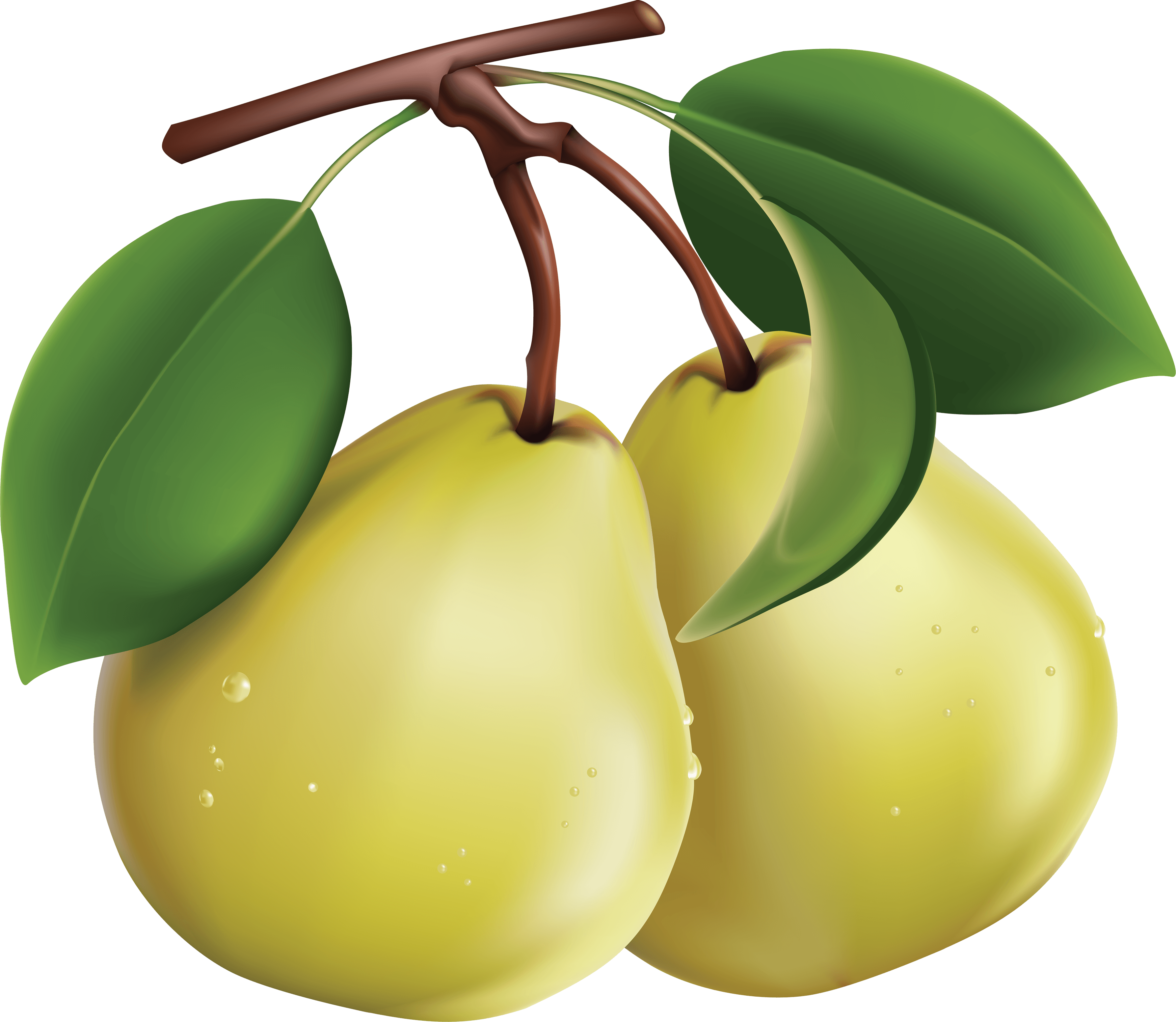 Pear Png Image PNG Image