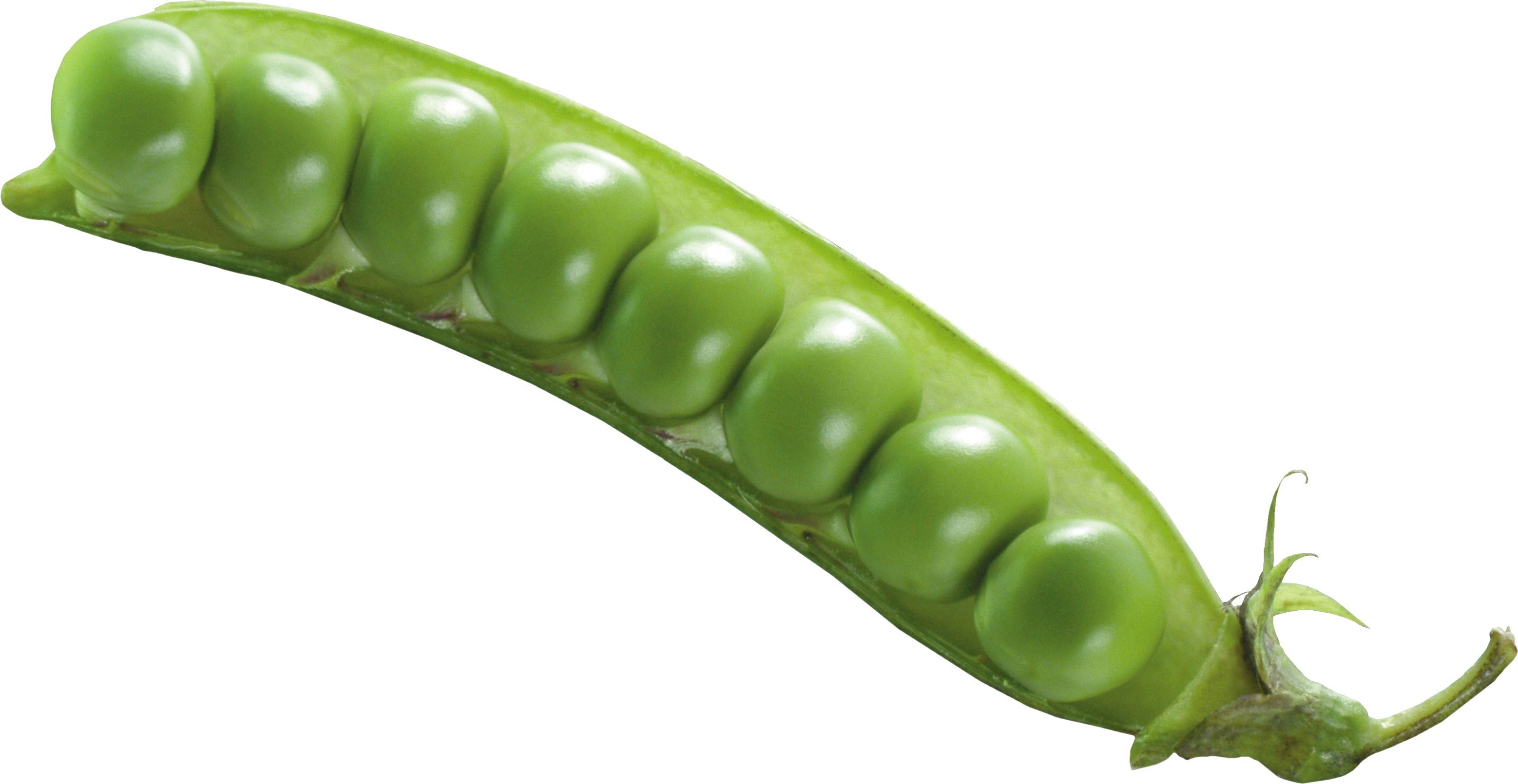 Fresh Green Pea Free Transparent Image HQ PNG Image