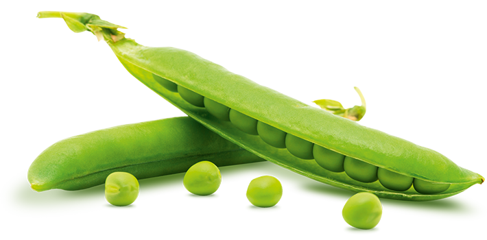 Fresh Green Pea Free HD Image PNG Image