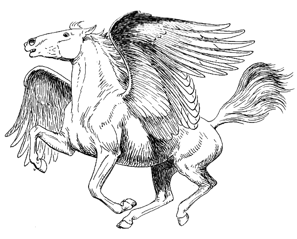 Pegasus Transparent Image PNG Image