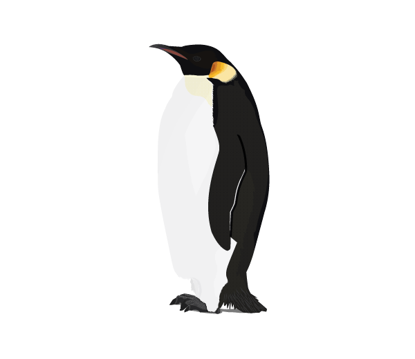 Penguin Png Image PNG Image