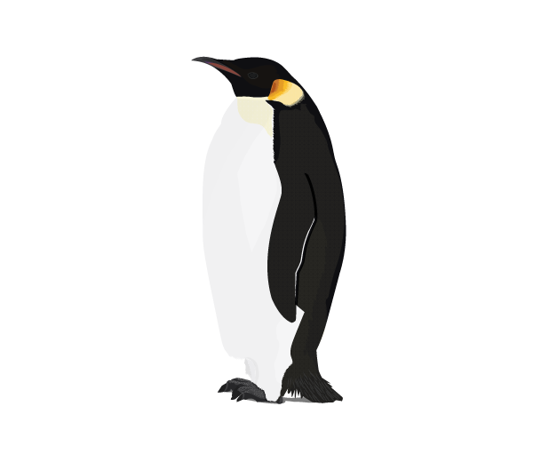 Penguin Png Picture PNG Image
