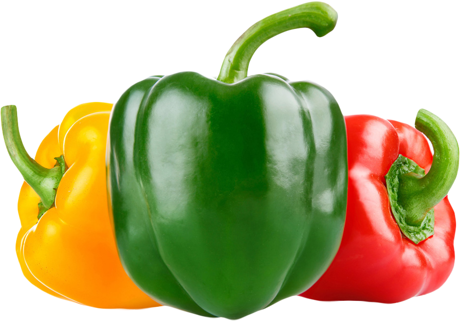 Capsicum Pepper Bell PNG Image High Quality PNG Image