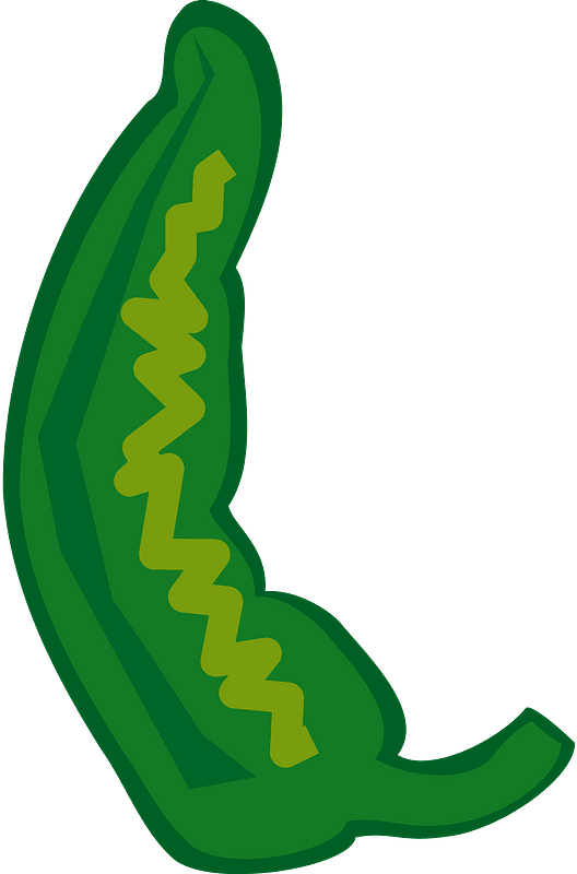 Chili Vector Green Pepper Download Free Image PNG Image