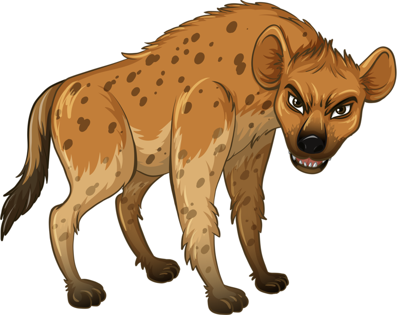 Hyena Wolf Wildlife Ferocious Illustration Free Download Image PNG Image