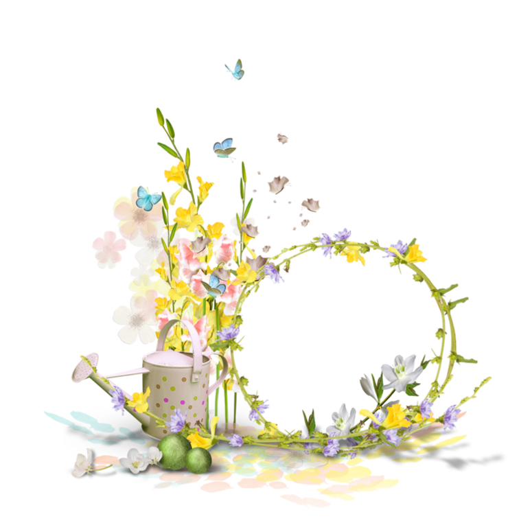 Butterfly Flower Photography Printemps Border Frame PNG Image