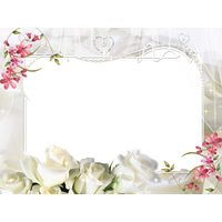 Picture Frame White Photography Flower PNG Image High Quality